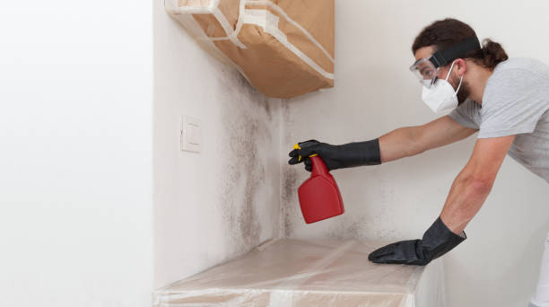 Professional Mold Cleanup technician working in Oyster Bay, NY