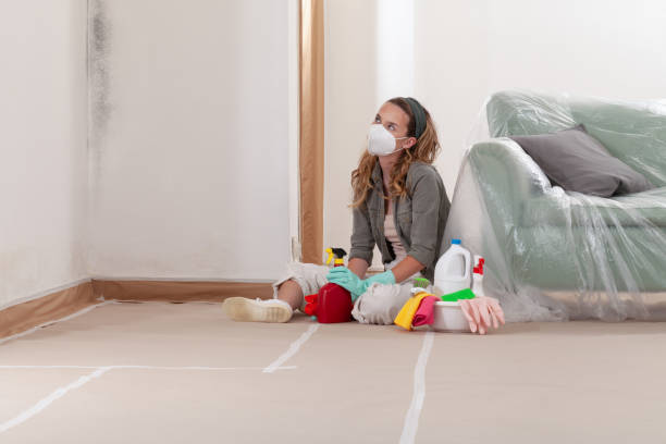 Reliable Mold Cleanup contractor in Oyster Bay, NY by WQB Mold Removal